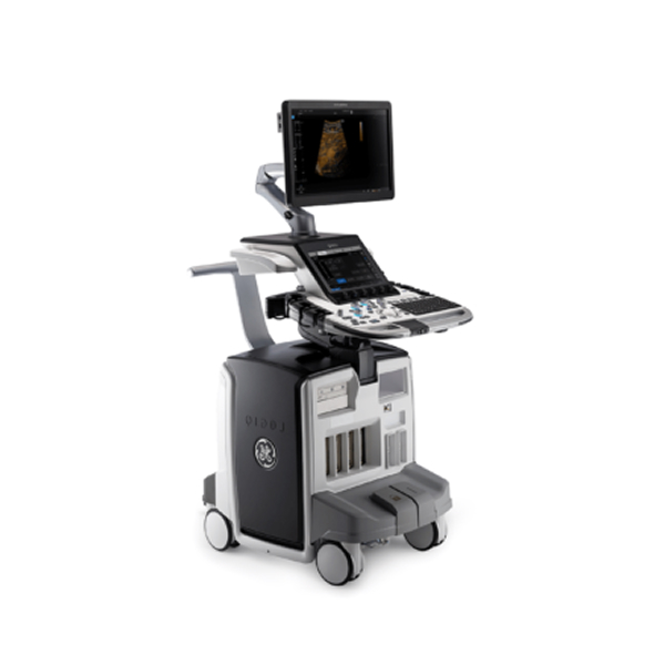 GE Logiq E10